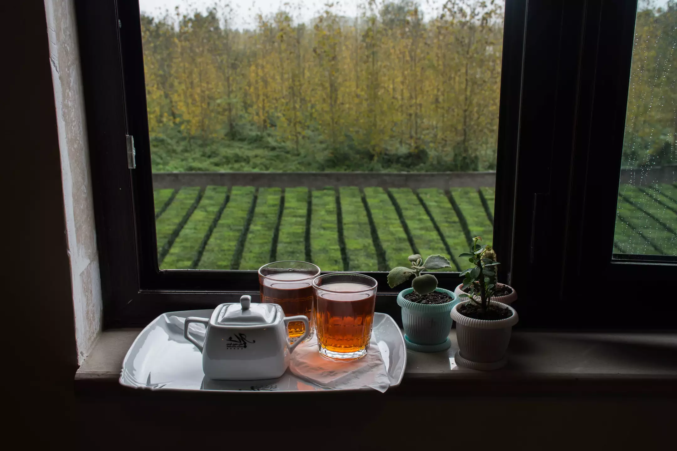 هتل معین فومن